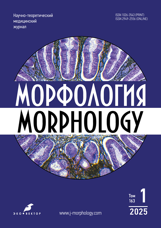 Page Header Logo