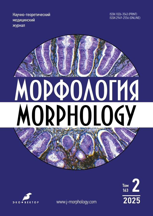 Page Header Logo