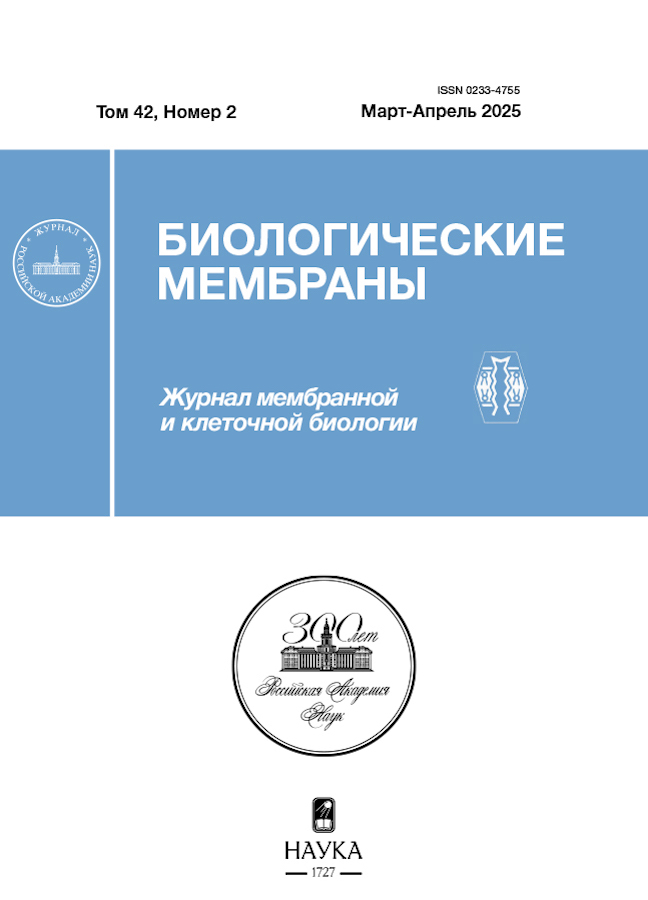 Page Header Logo
