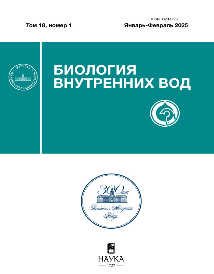 Page Header Logo