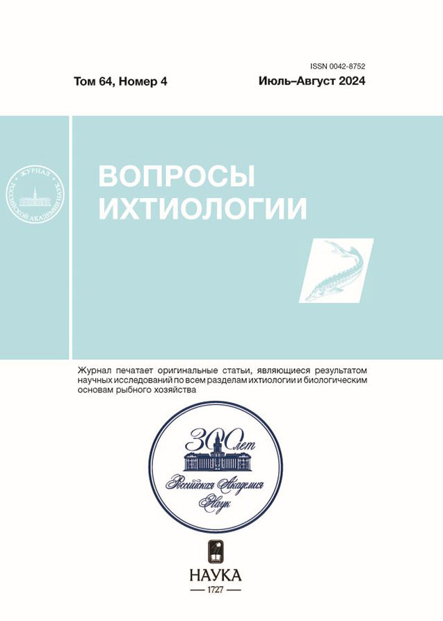 Page Header Logo