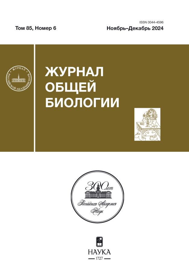 Page Header Logo