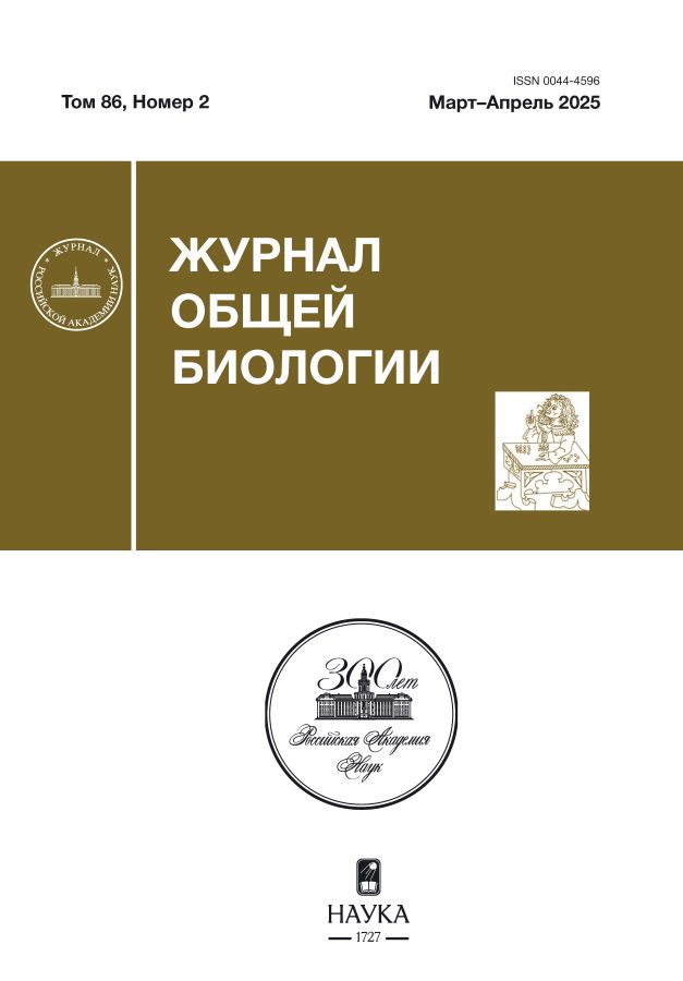 Page Header Logo