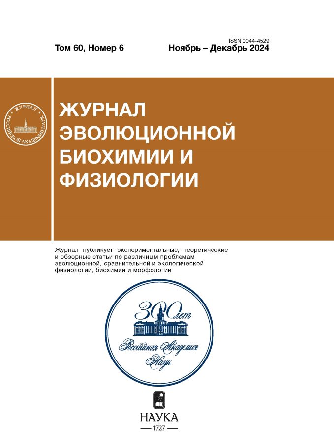 Page Header Logo