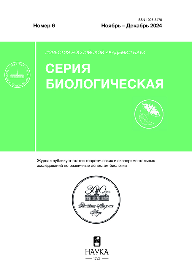 Page Header Logo