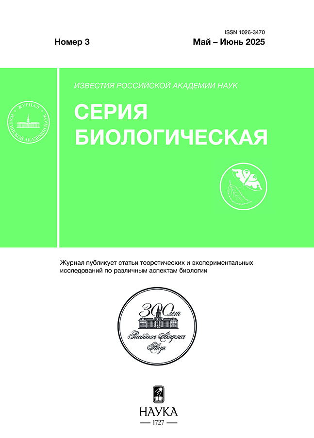 Page Header Logo