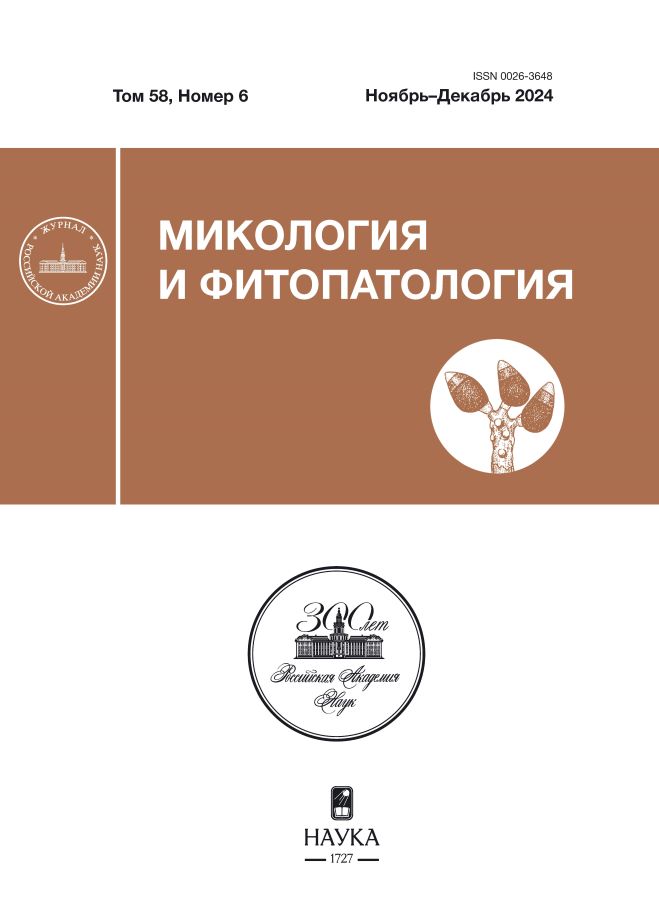 Page Header Logo