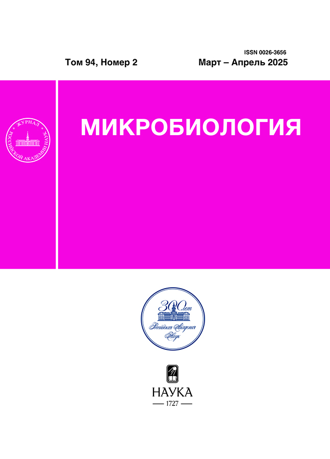 Page Header Logo