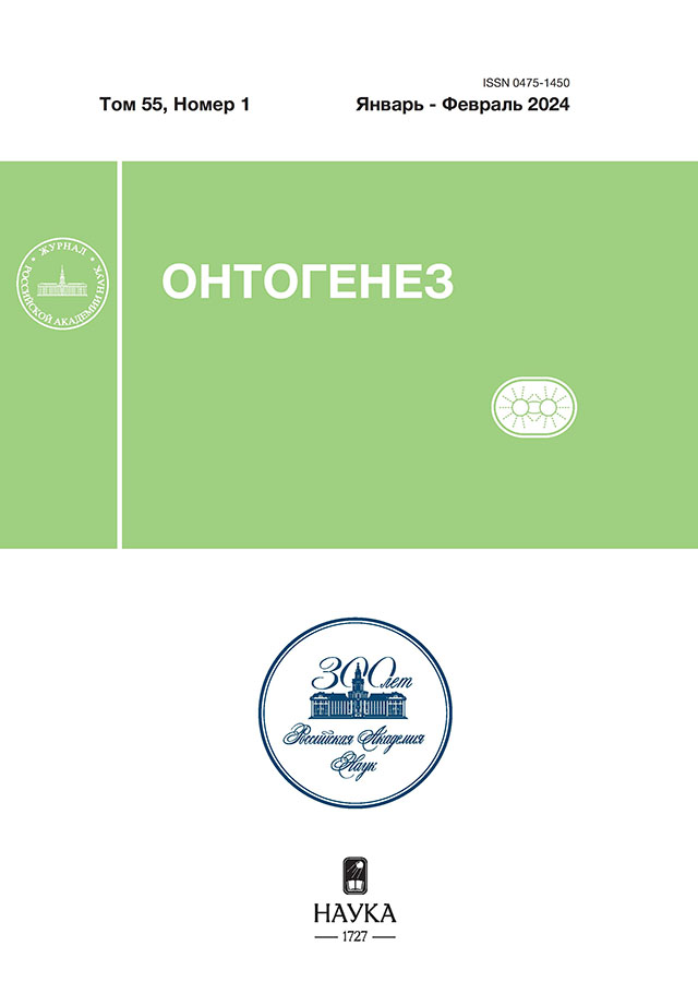 Page Header Logo
