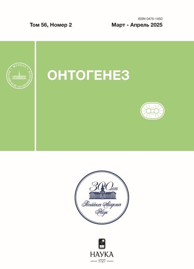 Page Header Logo
