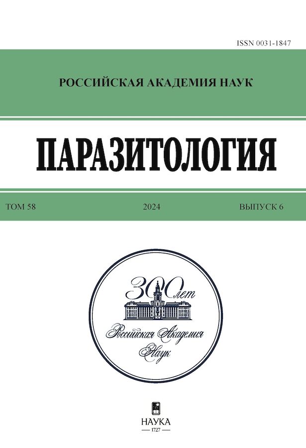 Page Header Logo