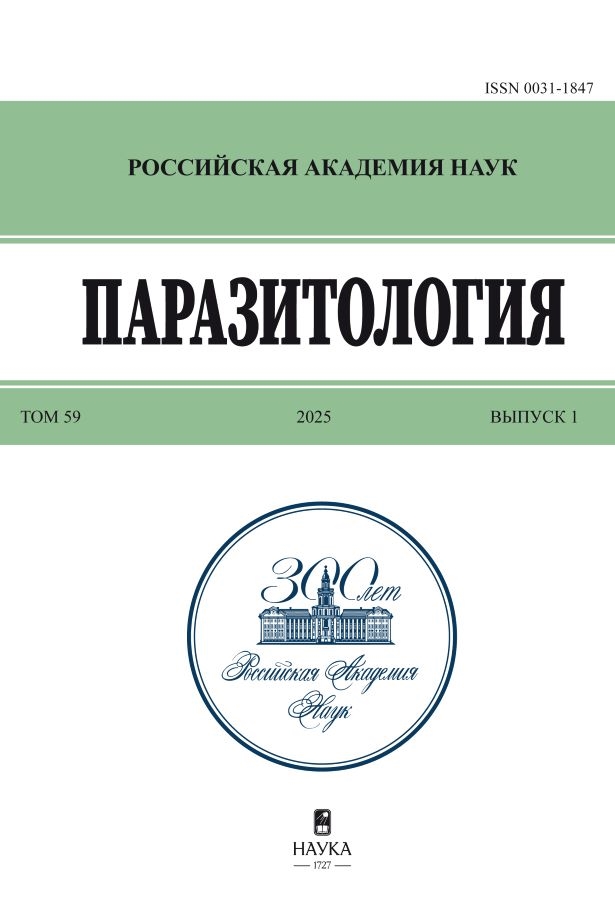 Page Header Logo