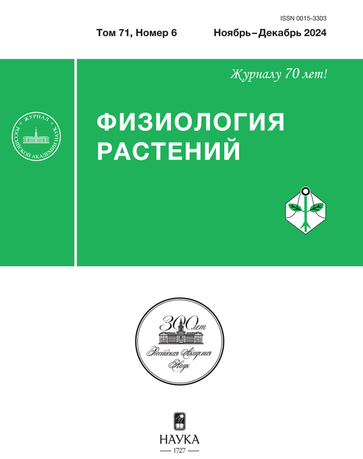 Page Header Logo