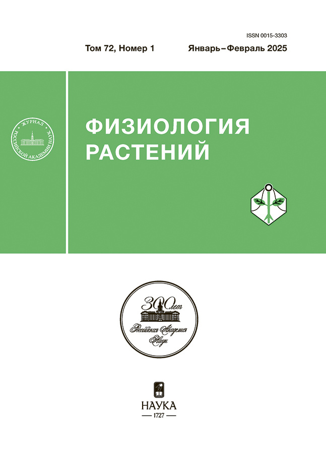 Page Header Logo