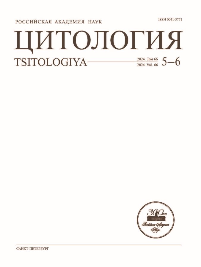Page Header Logo