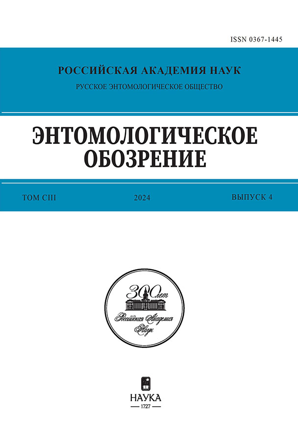 Page Header Logo